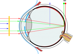 blueblock-eye-filtered