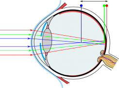 blueblock-eye